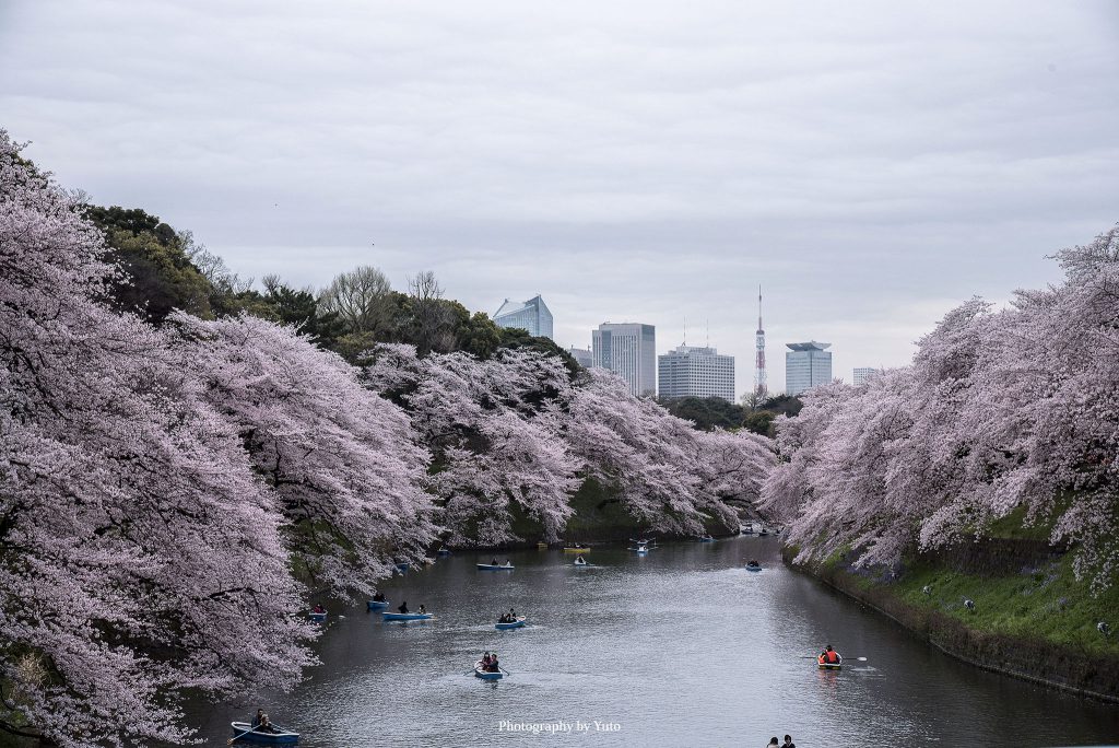 東京都の写真撮影スポット 78箇所