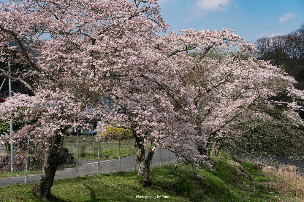 三重県伊賀市 伊賀街道遺構 2020/4/4