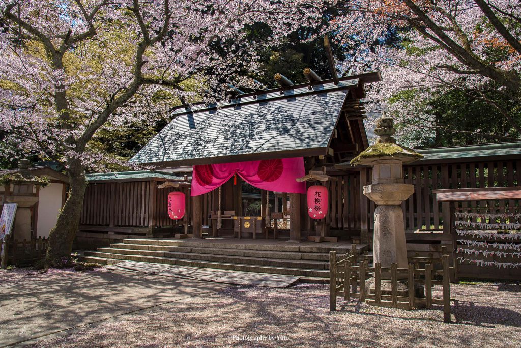 福井県敦賀市 金ヶ崎城 2019/4/12