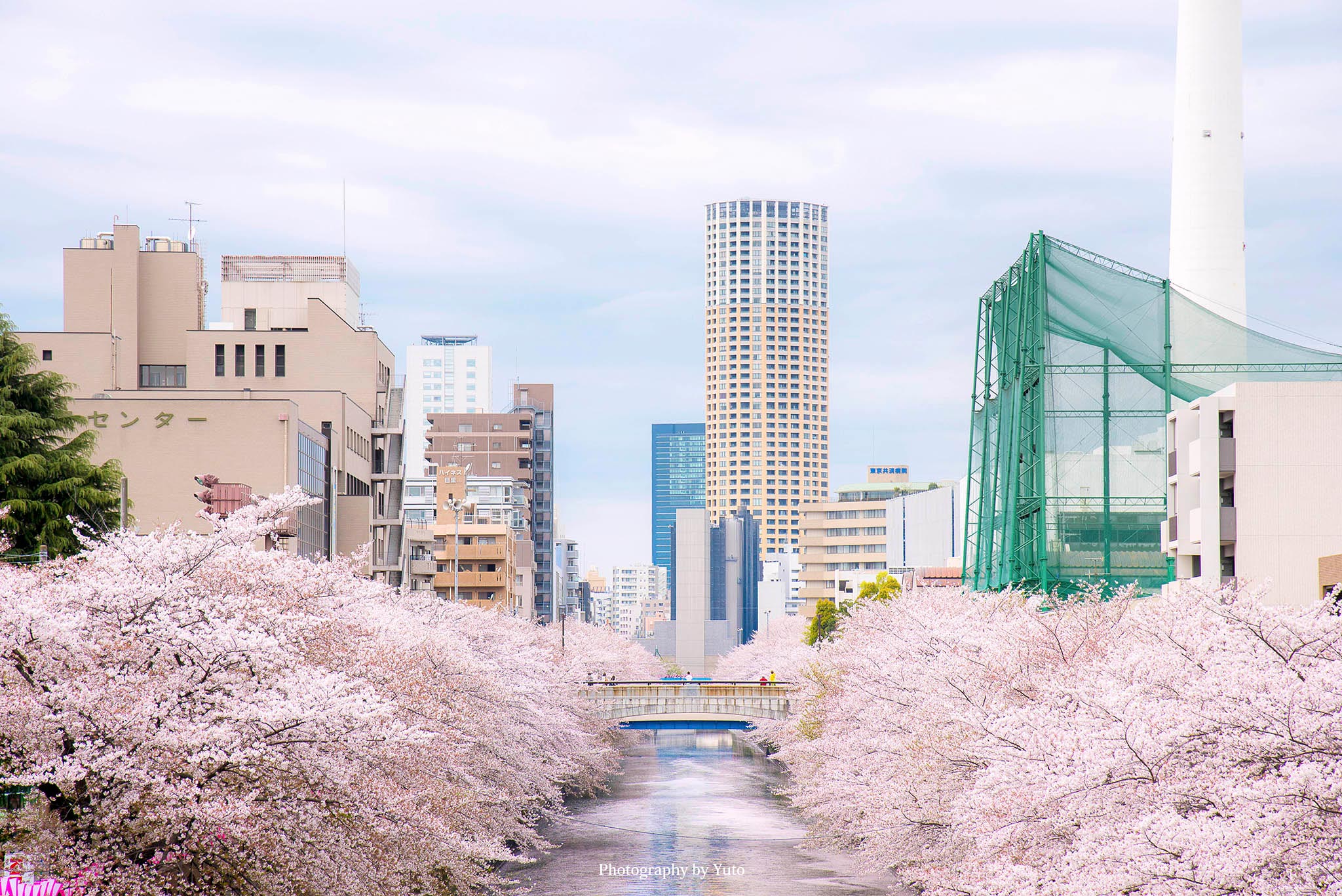 東京の桜 撮影スポットまとめ | Nippon Photo Net