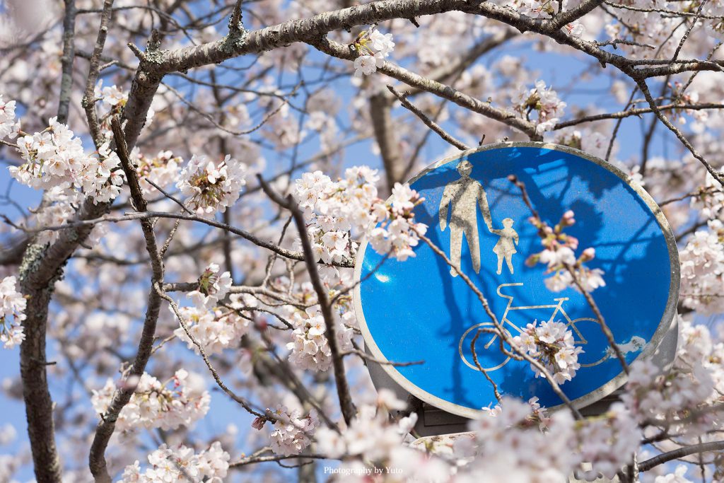 三重県伊賀市 大山田B&G海洋センター 2020/4/4