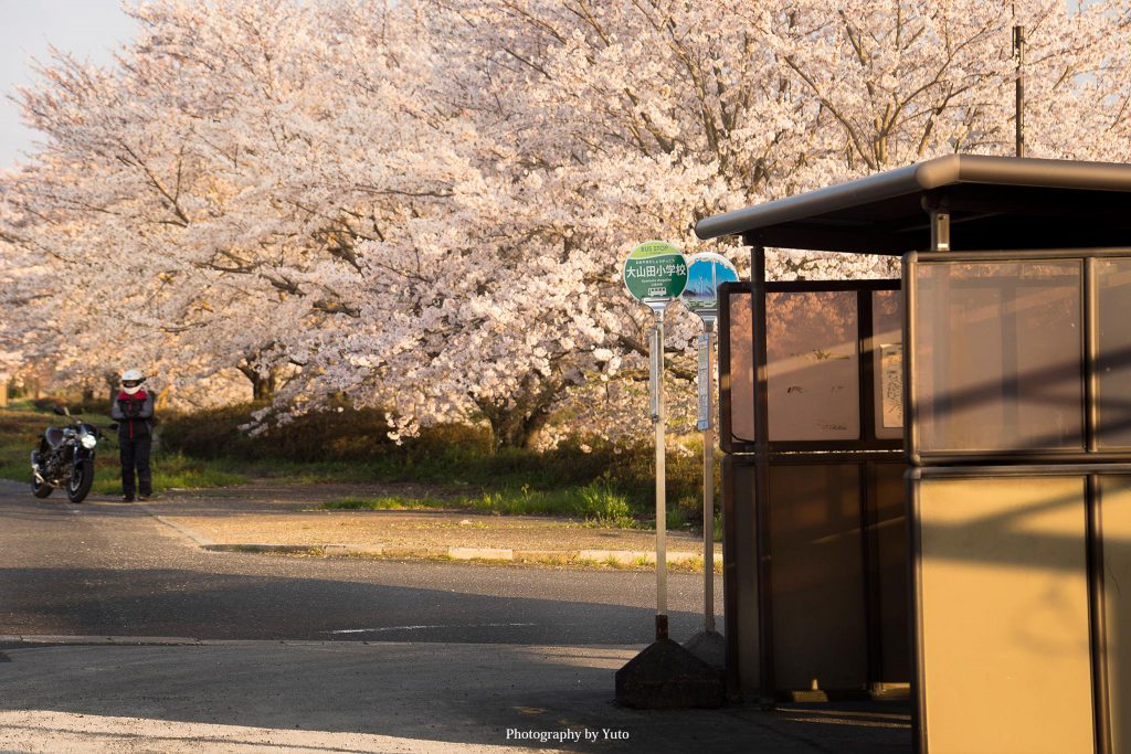 三重県伊賀市 せせらぎ運動公園 2020/4/4